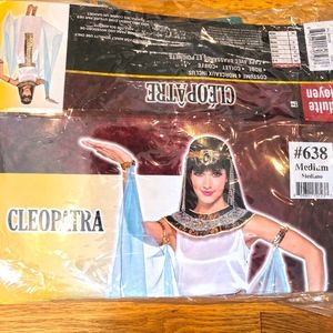 Worn Once Cleopatra Costume